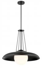  6405-66A - 1 LIGHT PENDANT