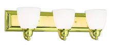  10503-02 - 3 Light Polished Brass Bath Light