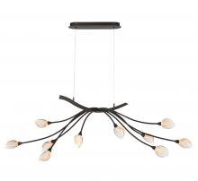 Lib & Co. US 12234-043 - Modena, 10 Light Oval LED Chandelier,  Black with Gold Accent