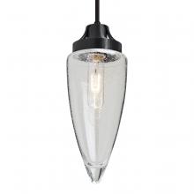 Besa Lighting J-SULUCL-BK-L - Besa, Sulu Cord Pendant For Multiport Canopy, Clear Bubble, Black Finish, 1x60W Mediu