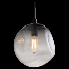  LAB0062-01-NB-C-C01-E2 - Aster Pendant-Incandescent