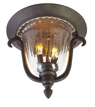  9017MB - Santa Barbara Outdoor 2 Light Flush Mount