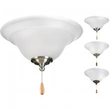  P2628-01WB - Trinity Collection Two-Light Ceiling Fan Light