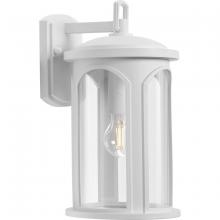  P560088-028 - Gables Collection One-Light Coastal Satin White Clear Glass Outdoor Wall Lantern
