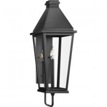  P560346-031 - Richmond Hill Collection One-Light Clear Glass Modern Farmhouse Outdoor Large Wall Lantern
