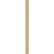  P8602-205 - Stem Extension Kit In A Soft Gold Finish.