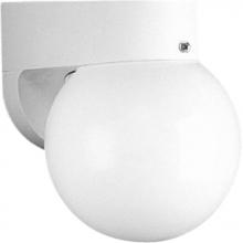  P5813-30 - Non-Metallic Incandescent One-Light Outdoor Wall Lantern