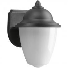  P5844-31 - Non-Metallic Incandescent One-Light Outdoor Wall Lantern