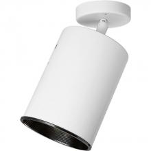  P6397-30 - One-Light Multi Directional Wall/Ceiling Heat Lamp