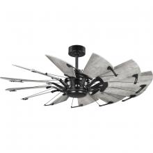 P250065-31M - Springer Collection 52-Inch Matte Black 12-Blade DC Motor Windmill Ceiling Fan