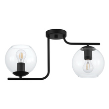  204338A - 2 LT Ceiling Light with a Black Finish and Clear Glass Shades 2-40W E26 Bulbs