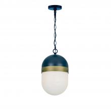  CAP-8507-MK-TG - Brian Patrick Flynn for Crystorama Capsule 1 Light Matte Black + Textured Gold Outdoor Pendant