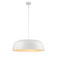  DVP40905MW - Tuque 20 Inch Pendant