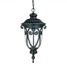  2116BK - Naples Collection Hanging Lantern 1-Light Outdoor Matte Black Light Fixture