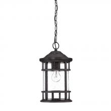  31946BC - Vista II Collection Hanging Lantern 1-Light Outdoor Black Coral Light Fixture