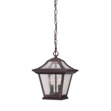  39016ABZ - Aiken Collection Hanging Lantern 2-Light Outdoor Architectural Bronze Light Fixture