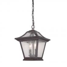  39016BC - Aiken Collection Hanging Lantern 2-Light Outdoor Black Coral Light Fixture