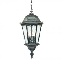  5516BC - Telfair Collection Hanging Lantern 2-Light Outdoor Black Coral Light Fixture