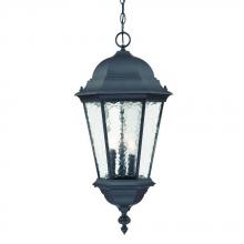  5526BK - Telfair Collection Hanging Lantern 3-Light Outdoor Matte Black Light Fixture
