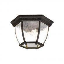  5602BC/SD - Flushmount Collection Ceiling-Mount 3-Light Outdoor Black Coral Light Fixture
