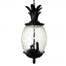  7516BC - Lanai Collection Hanging Lantern 3-Light Outdoor Black Coral Light Fixture