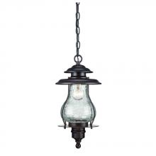  8206ABZ - Blue Ridge Collection Hanging Lantern 1-Light Outdoor Architectural Bronze Light Fixture