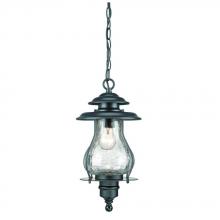  8206BK - Blue Ridge Collection Hanging Lantern 1-Light Outdoor Matte Black Light Fixture