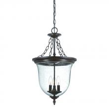  9316ABZ - Belle Collection Hanging Lantern 3-Light Outdoor Architectural Bronze Light Fixture