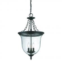  9316BK - Belle Collection Hanging Lantern 3-Light Outdoor Matte Black Light Fixture