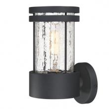  6114600 - Wall Fixture Textured Black Finish Clear Crackle Glass