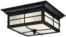  6204800 - 11 in. 2 Light Flush Textured Black Finish Frosted Seeded Glass