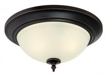 6304800 - 13 in. 2 Light Flush Amber Bronze Finish with Highlights Frosted Glass