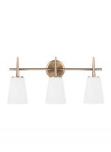  4440403-848 - Driscoll contemporary 3-light indoor dimmable bath vanity wall sconce in satin brass gold finish wit