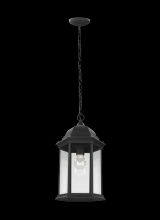  6238701-12 - Sevier traditional 1-light outdoor exterior ceiling hanging pendant in black finish with clear glass