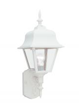  8765-15 - Polycarbonate Outdoor traditional 1-light outdoor exterior large wall lantern sconce in white finish