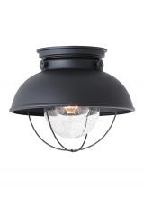  8869-12 - Sebring transitional 1-light outdoor exterior ceiling flush mount in black finish with clear seeded