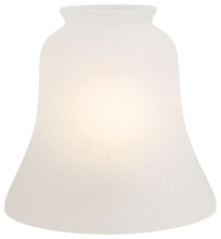  2565 - 2 1/4IN ETCHED SEEDY GLASS SHADE
