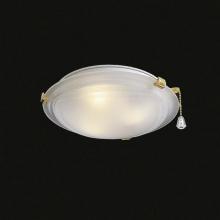  K9366-22 - Three Light Polished Brass Fan Light Kit