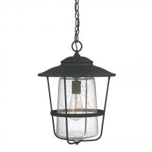  9604BK - 1 Light Outdoor Hanging Lantern