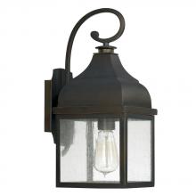  9641OB - 1 Light Outdoor Wall Lantern