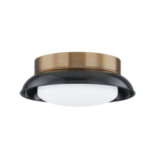  C2014-PBR/GBK - ARNIE Flush Mount