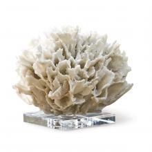  20-1022 - Regina Andrew Ribbon Coral (White)