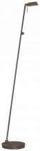  P4314-647 - Floor Lamp