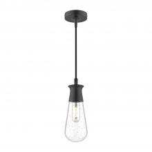  EP464001BKCB - Marcel 4-in Clear Bubble Glass/Textured Black 1 Light Exterior Pendant
