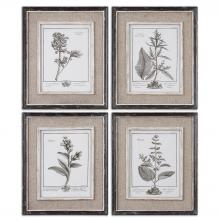  32510 - Uttermost Casual Grey Study Framed Art Set/4