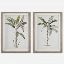  41446 - Uttermost Banana Palm Framed Prints, Set/2