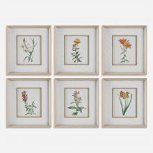  32284 - Uttermost Classic Botanicals Framed Prints Set/6