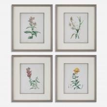  32285 - Uttermost Heirloom Blooms Study Framed Prints Set/4