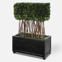  60188 - Uttermost Preserved Boxwood Rectangular Topiary