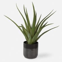  60204 - Uttermost Tucson Aloe Planter